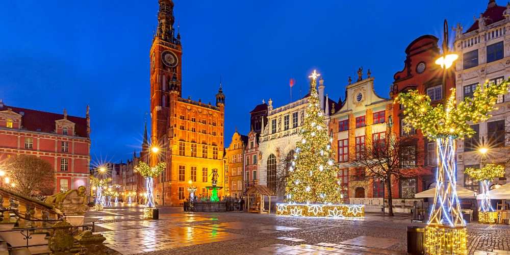colorful lights and big christmas tree on the middle of the park surrounded by buildings