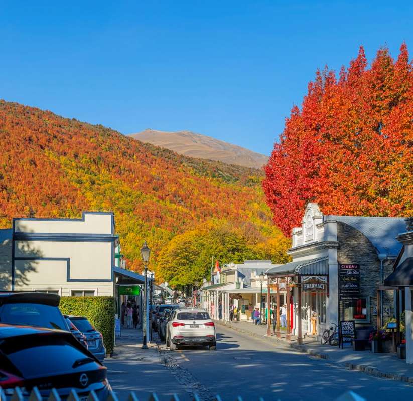 community showing shops and with colorful trees in the back