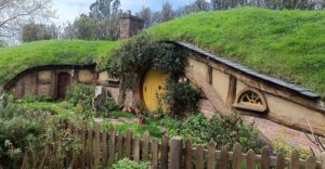 Best Things to Do in Auckland