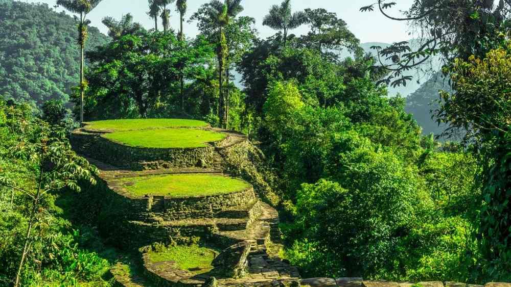 platform made of rocks and grass in the middle of the jungle