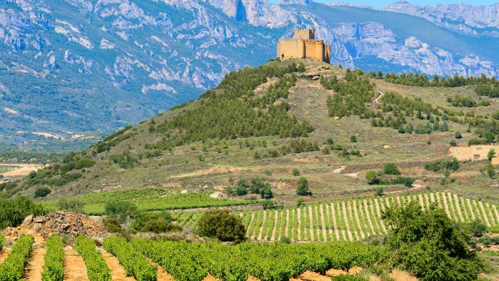 castle like structure on top of a hill with valley of vineyards