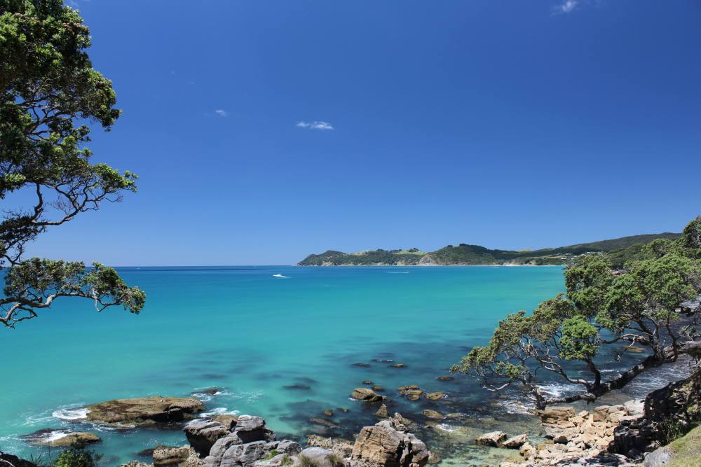 blue ocean with trees and rocks on the side