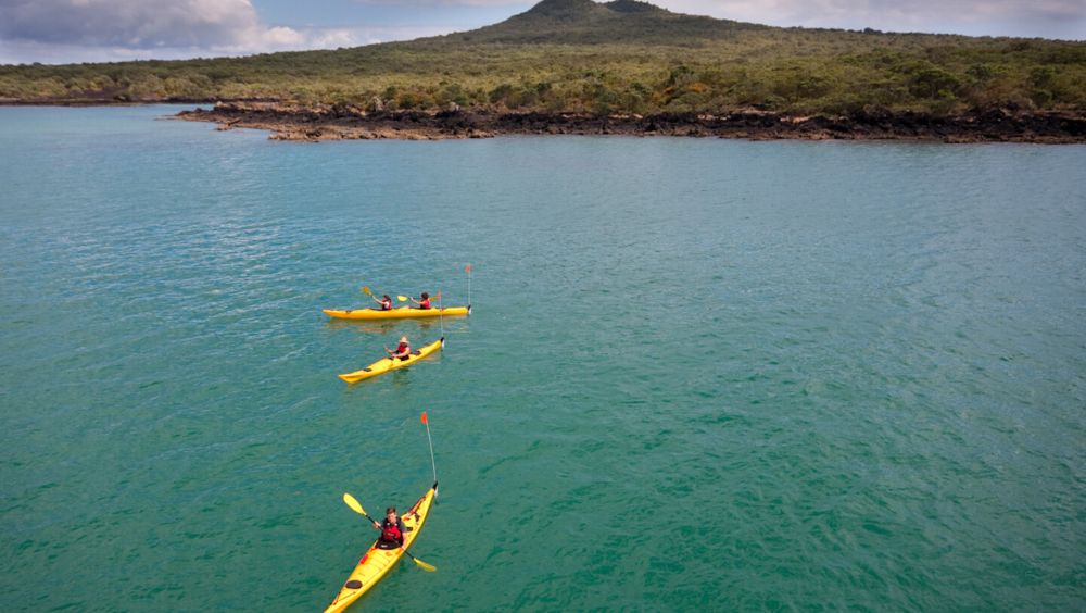 people kayaking near a green lushy mountain 