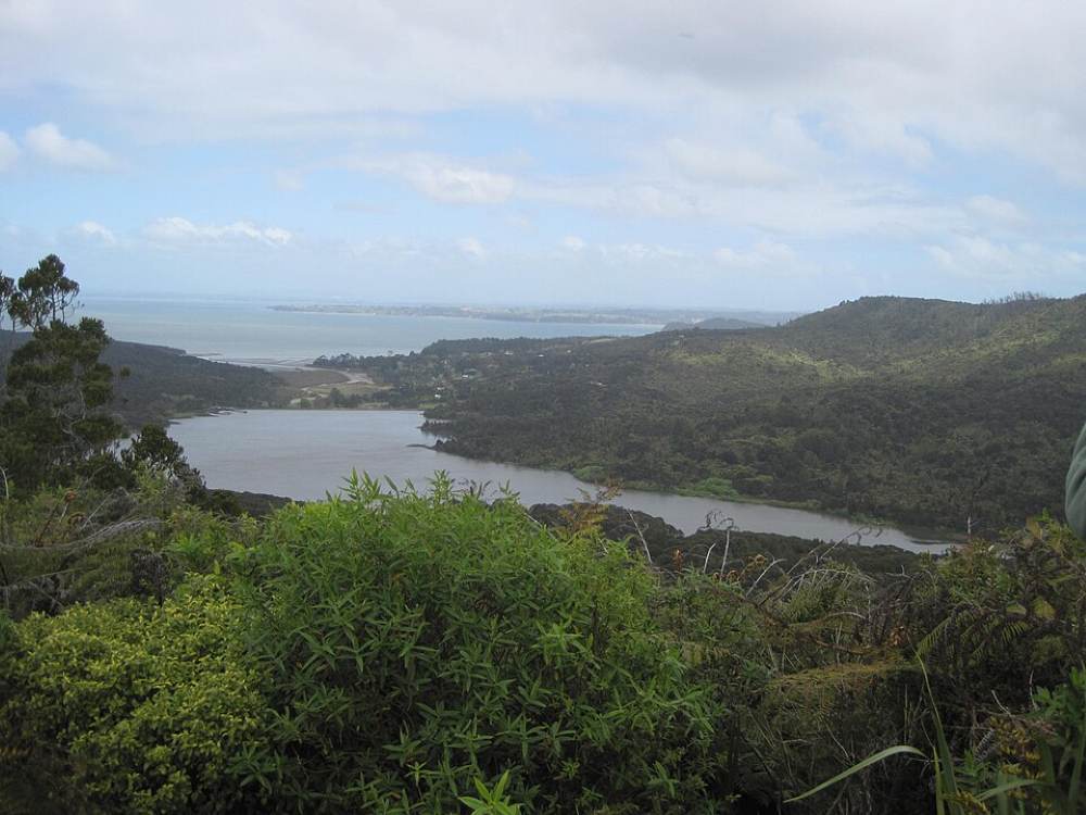 body of water in betwen forest - Things to Do in Auckland