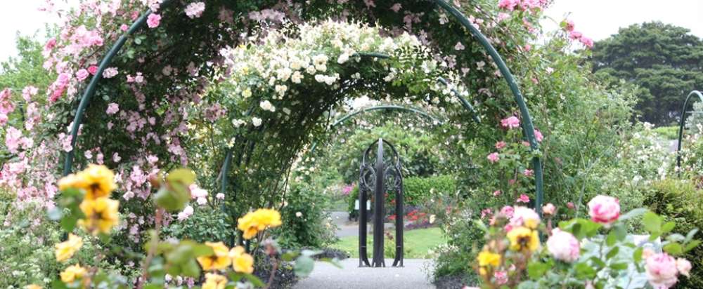 arch full of flowers and plants