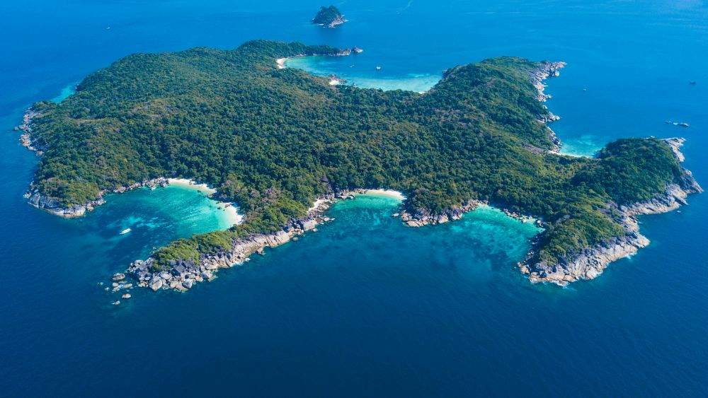 island full of trees in the middle of the ocean - Beautiful Islands