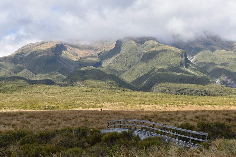 small bridge going to a field with mountain view
