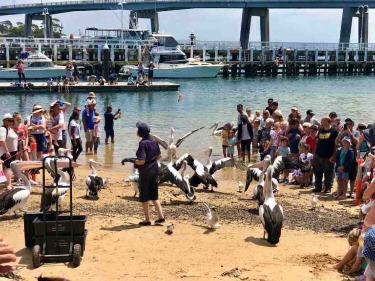 49 Amazing Reasons to Visit Australia | The 50+ Nomad